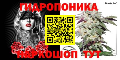 ешки Новодвинск