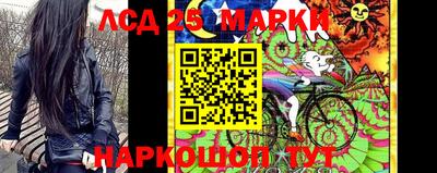 ешки Новодвинск
