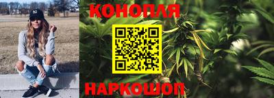 apvp Нальчик