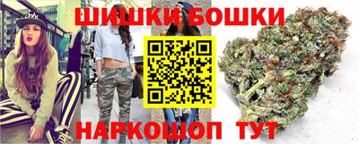 apvp Нальчик