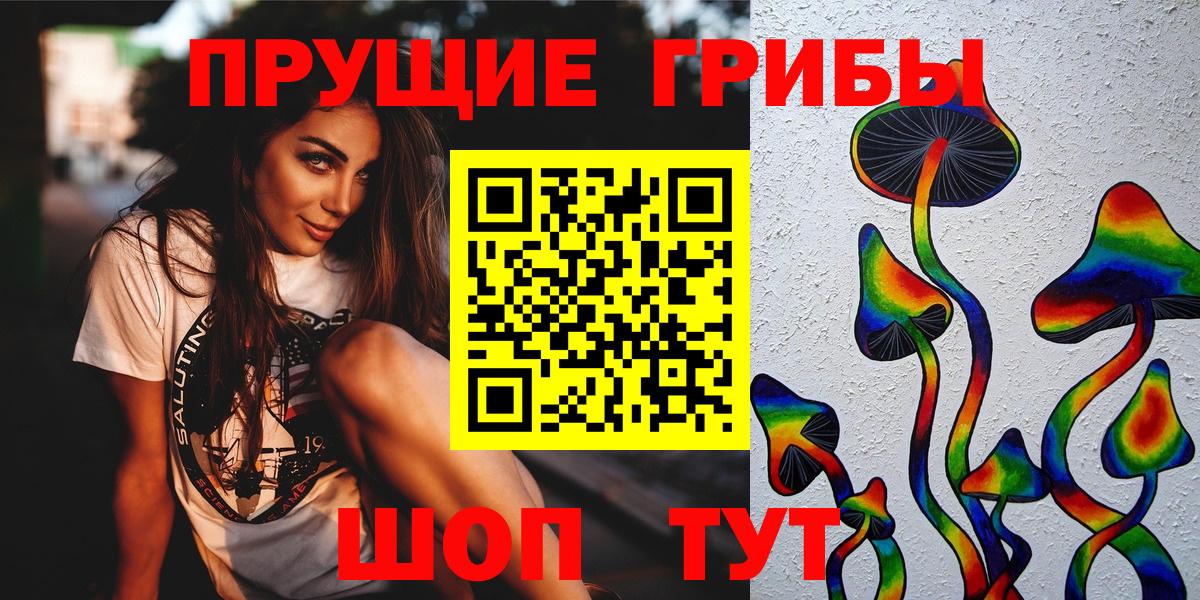 Сыктывкар  Галлюциногенные грибы Psilocybine cubensis  Вход с VPN 